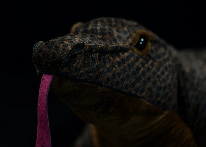 Simulated Komodo Lizard Plush Doll