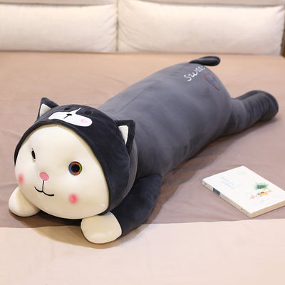 Cat turned into a pillow