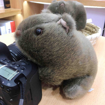 Simulation Guinea Pig Doll Small Plush Toy