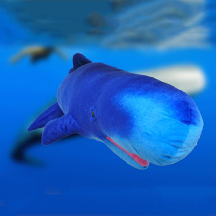 Sperm whale plush toy