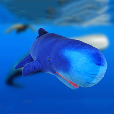 Sperm whale plush toy