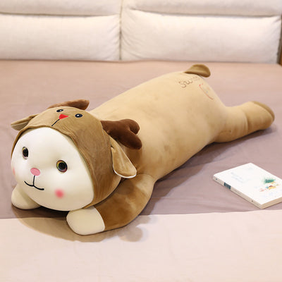 Cat turned into a pillow