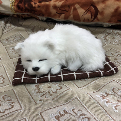 A Sleeping Dog Model That Barks