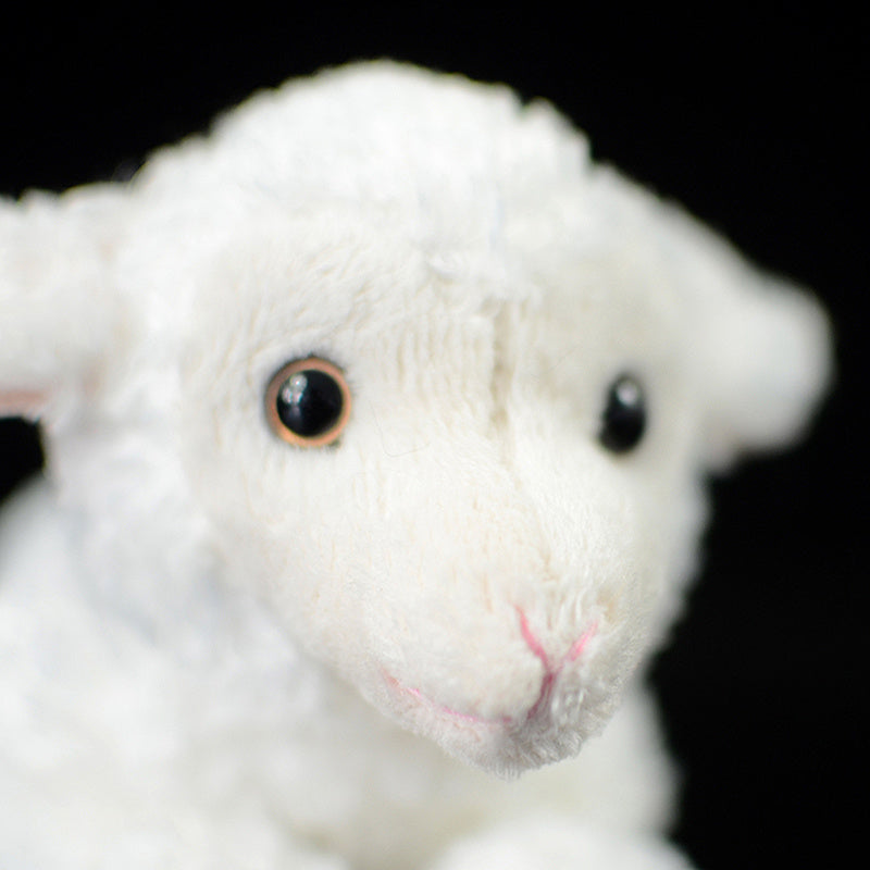 Exported To The United Kingdom Plush Toys