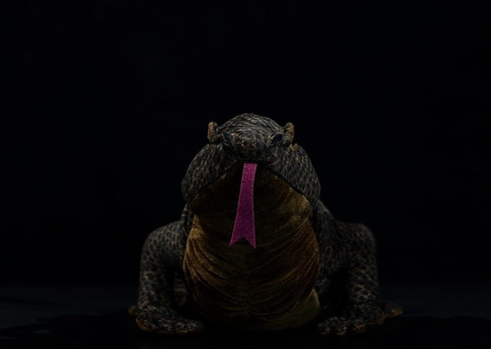 Simulated Komodo Lizard Plush Doll